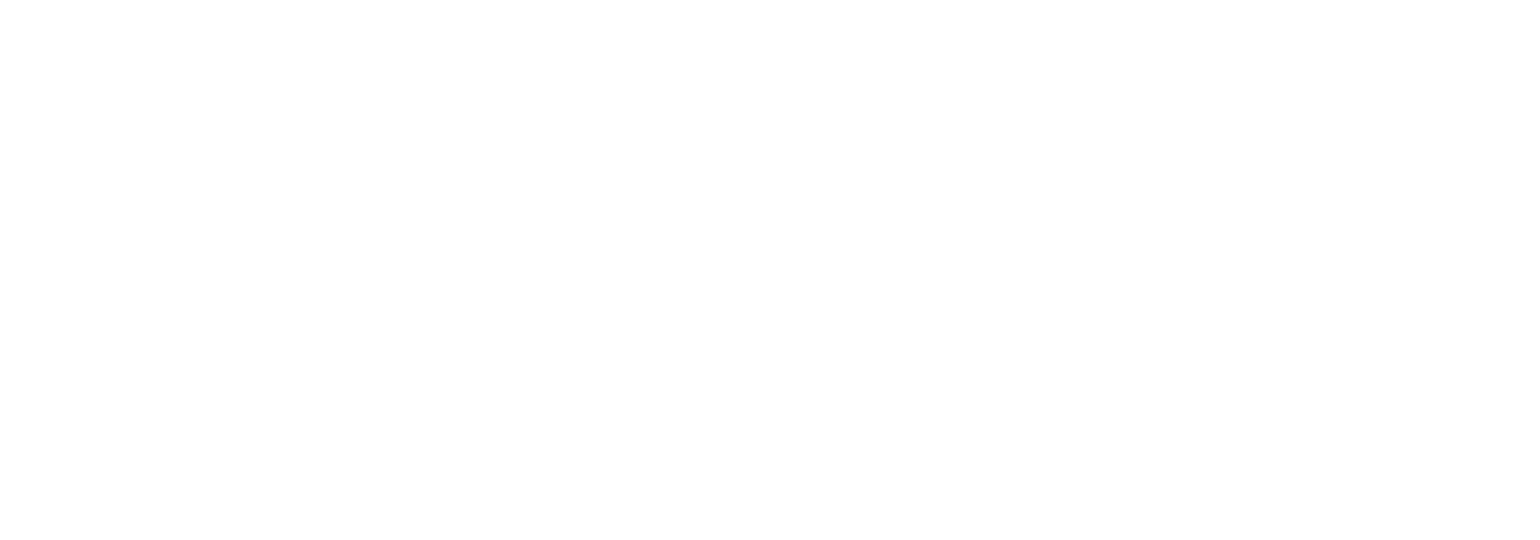 PT Academy logo